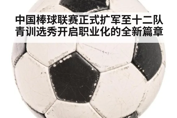 中国棒球联赛正式扩军至十二队 青训选秀开启职业化的全新篇章